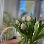 Villa Le Rosa: De Charme Entre Et Pinede Quend