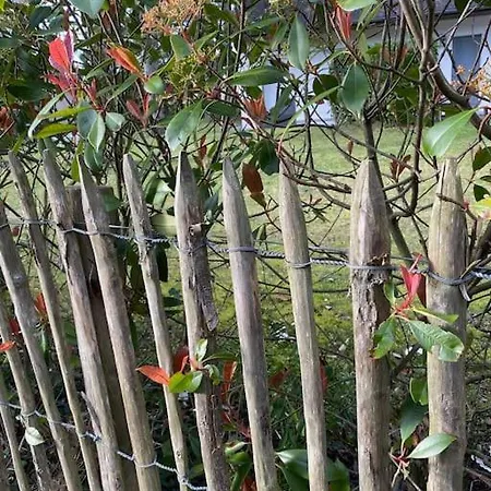 Le Rosa: De Charme Entre Et Pinede Villa Quend