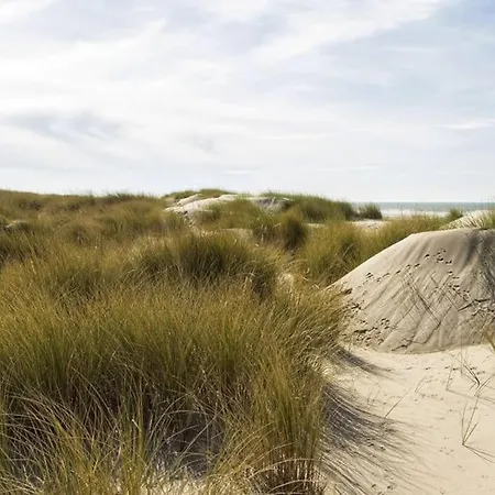 Villa Le Rosa: De Charme Entre Et Pinede