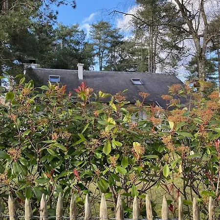 Le Rosa: De Charme Entre Et Pinede