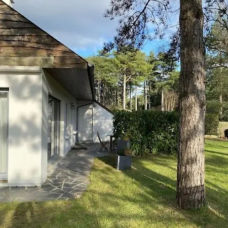 Le Rosa: De Charme Entre Et Pinede