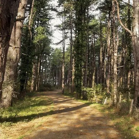 Le Rosa: De Charme Entre Et Pinede Quend